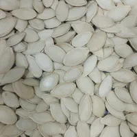 تخمه کدو گوشتی