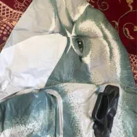 دلفین بادی ۲ متری|غواصی و ورزش‌های آبی|مشهد, میعاد (شهرک غرب)|دیوار