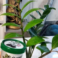 قرص کود ۱۲۰ عددی