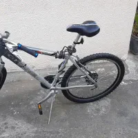 ژیتان فیتز روی z، نسخه کمیاب فرانسوی