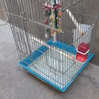 قفس طوطی سایز بزرگ بزرگ معاوضه با پرنده فقط|لوازم جانبی حیوانات|مسجد سلیمان, |دیوار