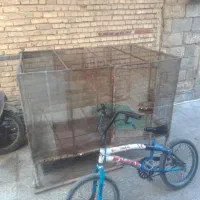 قفس کبوتریاکفتر بامیله گرد14و16