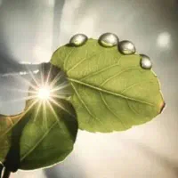 سرکتاب دعای خیر فال