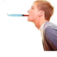 سایر|حراج|یزد, |دیوار