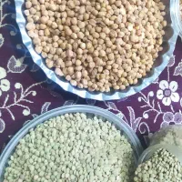 عدس و نخود محلی