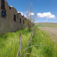 مرغداری ۴۰۰۰ قطعه ایی.ویک واحد ۸۰۰۰ قطعه زمانیان.|فروش دفتر صنعتی، کشاورزی، تجاری|نهاوند, |دیوار