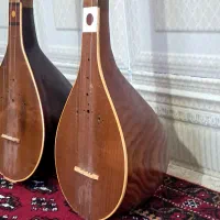 سه تار یک تیکه کاسه ای|سازهای سنتی|کرمان, |دیوار