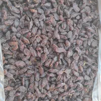 مویز رطبی و کشمش|خوردنی و آشامیدنی|شیراز, قلات|دیوار