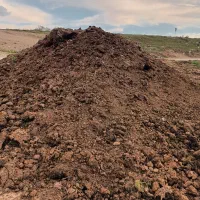 ‌کودگاوی کهنه