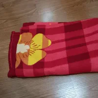 دوعددپتوی مسافرتی درحدنو