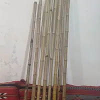 چوب