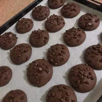 محصولات خانگی|خوردنی و آشامیدنی|کاشمر, |دیوار