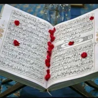 سکتاب رایگان