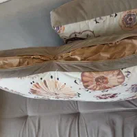مبل راحتی|مبلمان خانگی و میز عسلی|رشت, معلم|دیوار