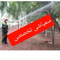 باغبانی، هرس،سمپاشی،کودهی،گلکاری و درختکاری|خدمات باغبانی و درختکاری|مشهد, شهید فرامرز عباسی|دیوار
