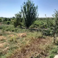 فروش یک قطعه‌ زمین واقع در روستای چالخماز