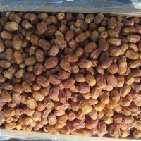 خرما زاهدی و انواع خرما و عسل های وحشی تضمینی