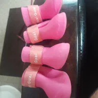 کفش سگ در حد نو|لوازم جانبی حیوانات|لاهیجان, رجایی|دیوار