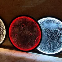 ماه های رنگین