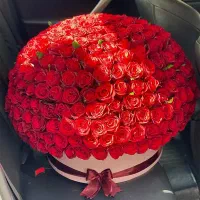 گل رز|گل مصنوعی|قم, صفائیه|دیوار