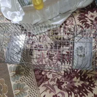 قفس و تله قفس|لوازم جانبی حیوانات|کرج, شهرک رازی (بنیاد)|دیوار