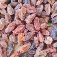 فندق.بادام.کشمش|خوردنی و آشامیدنی|گرگان, |دیوار