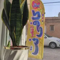 کافی نت آفتاب