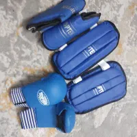 دستکش و ساق پا رو پا و کیسه بوکس|تجهیزات ورزشی|تربتحیدریه, بوستان باغ ملی|دیوار