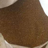 بذر یونجه خیار هندوانه خربزه ذرت بهاره گندم  یونجه