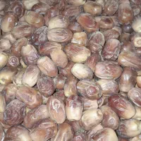 خرمایه زاهدی|خوردنی و آشامیدنی|افزر, |دیوار