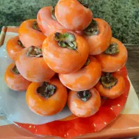 دیس میوه خوری آرکوپال