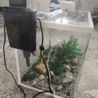 اکواریوم شیشه خم