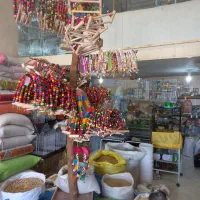 خرید وفروش قناری فنج عروس هلندی مرغ عشق|پرنده|شهرکرد, |دیوار