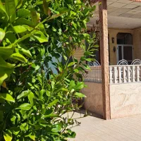 معاوضه/فروش خانه بزرگ مرکز شهر|فروش خانه و ویلا|جهرم, |دیوار