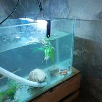 آکواریوم همراه کل وسایل ،معاوضه