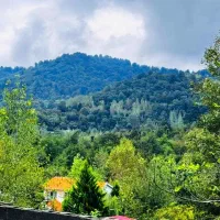 500زمین کوهپایه جنگل روارتفاع دوردیوارپروانه ساخت