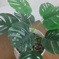 گل مصنوعی|گل مصنوعی|سبزوار, شهدا|دیوار