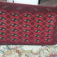 دوجف پشتی سالم قیمت 500