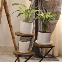 کارشناس فروش انلاین و ادمین پیج اینستاگرام|استخدام بازاریابی و فروش|تهران, آبشار تهران (دریاچه)|دیوار