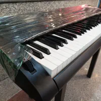 ارگ کاسیو Ctk-3000 کیبورد مناسب آموزش پیانو هنرجو|پیانو، کیبورد، آکاردئون|تهران, باغ فیض|دیوار