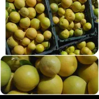 خ ری د ار و ا م ب ا ق ی م ت م ن ا س ب