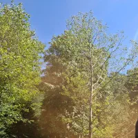 آپارتمان فرهنگیان