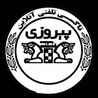 جذب راننده آقا و خانم در تاکسی تلفنی
