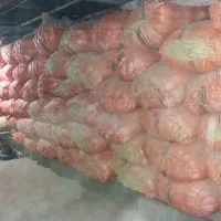 کاه گندم دیم درجه یک امسال،قیمت جفتی۱۰۵۰۰۰۰تومان