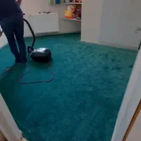 نصب موکت،پرده،کاغذدیواری،کفپوش،تاتامی برچسب و مش|خدمات پیشه و مهارت|شیراز, فرگاز|دیوار