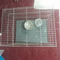 قفس پرنده