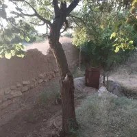 باغ انار|فروش زمین و ملک کلنگی|سلفچگان, |دیوار