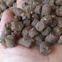 کنجاله‌ کلزار