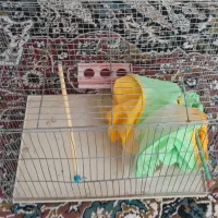 قفس پرنده
