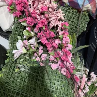 فروش گل و گیاه